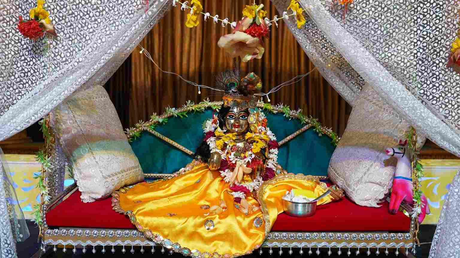 Swami Mukundananda Pictures